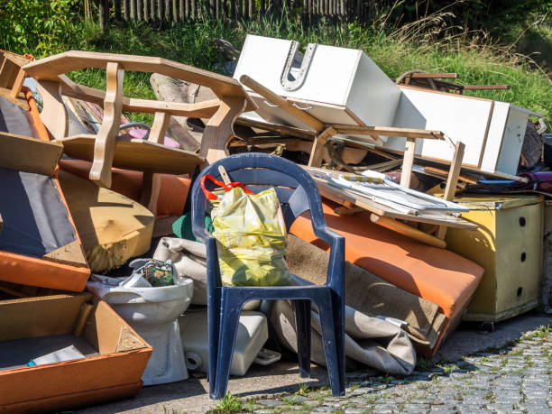 Best Attic Cleanout  in Hallandale Beach, FL